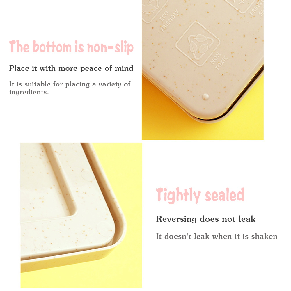 Toast Bento Storage Box Sealab - đánh giá và giá Bento Box